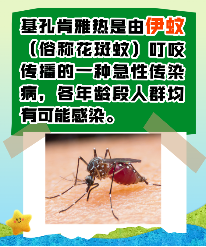 关于基孔肯雅热病毒！重点都帮你划好了